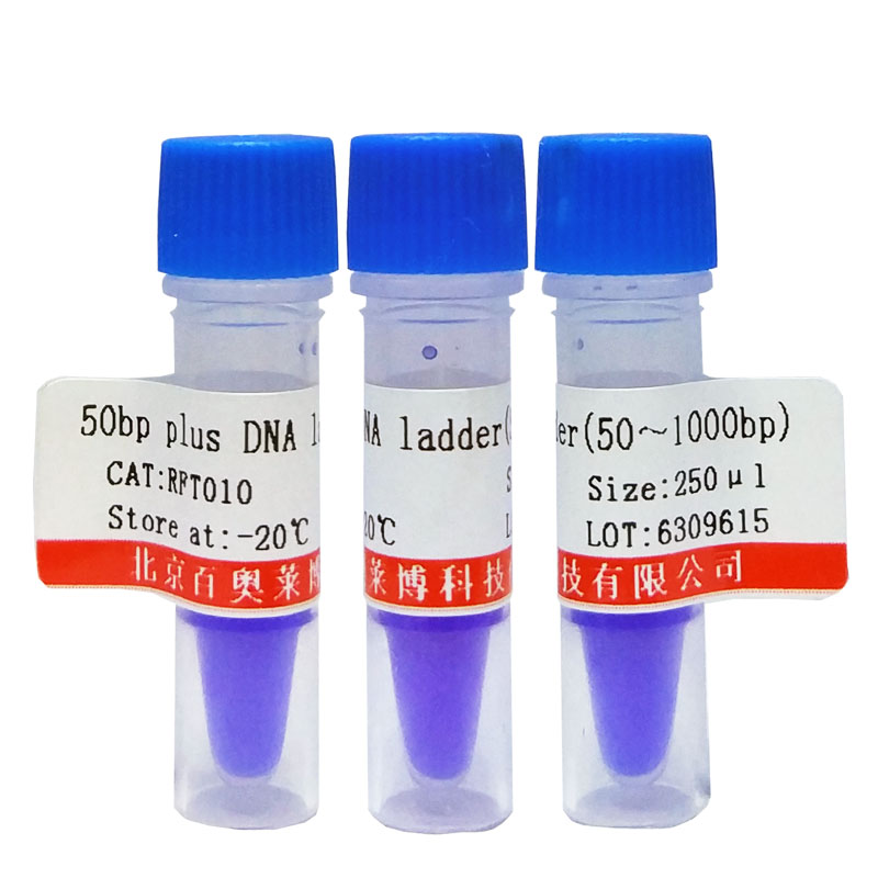 50bp plus DNA ladder(50～1000bp)图片